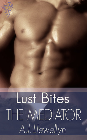The Mediator book cover