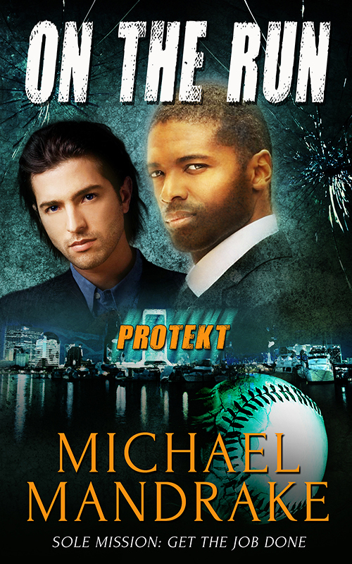 PROTEKT book cover 1