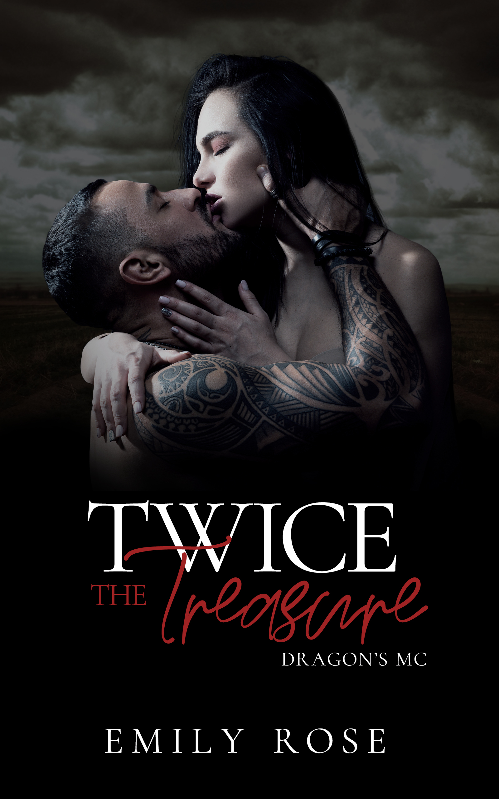 Twice the Treasure book cover