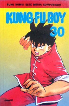 Kung Fu Boy Vol. 30 book cover