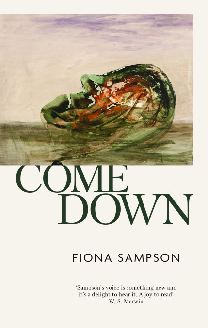 Come Down book cover