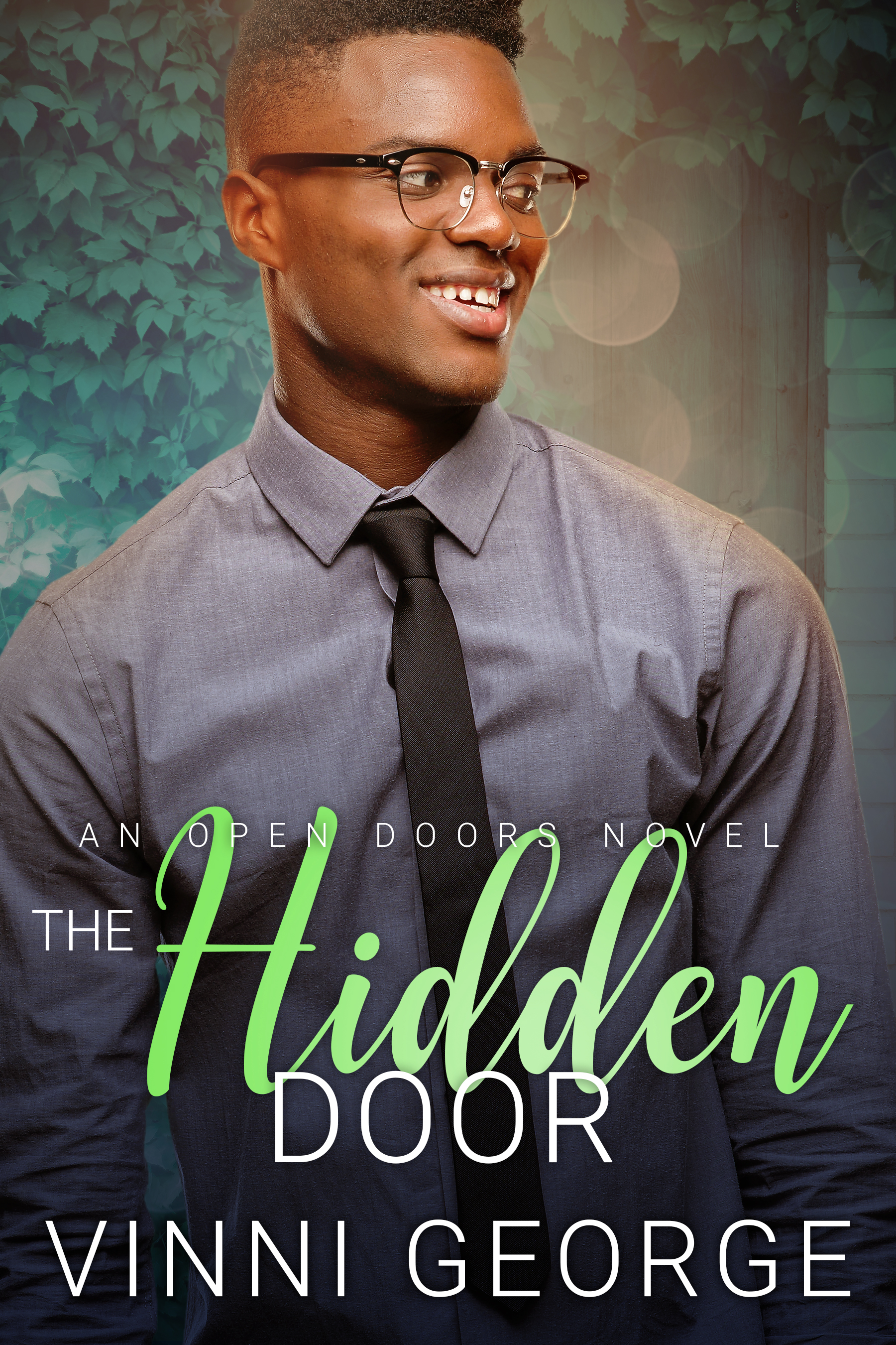 The Hidden Door book cover