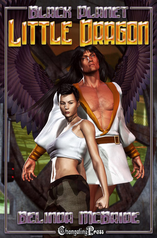 Little Dragon book cover