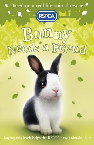 Bunny Needs a Friend book cover