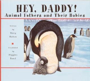Hey Daddy! book cover