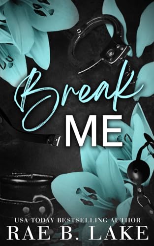 Break Me book cover