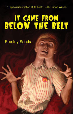 It Came from Below the Belt book cover