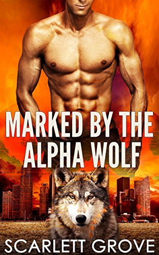 Braving Darkness book cover 1