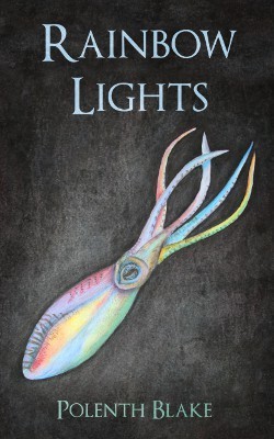 Rainbow Lights book cover