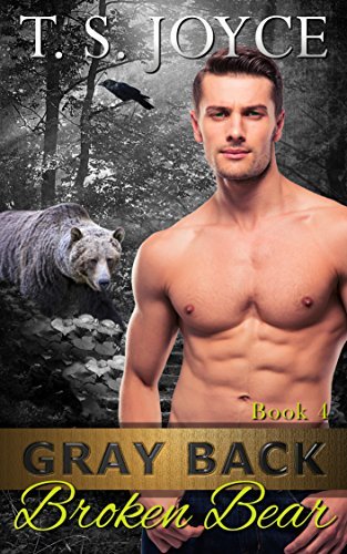 Gray Back Broken Bear book cover