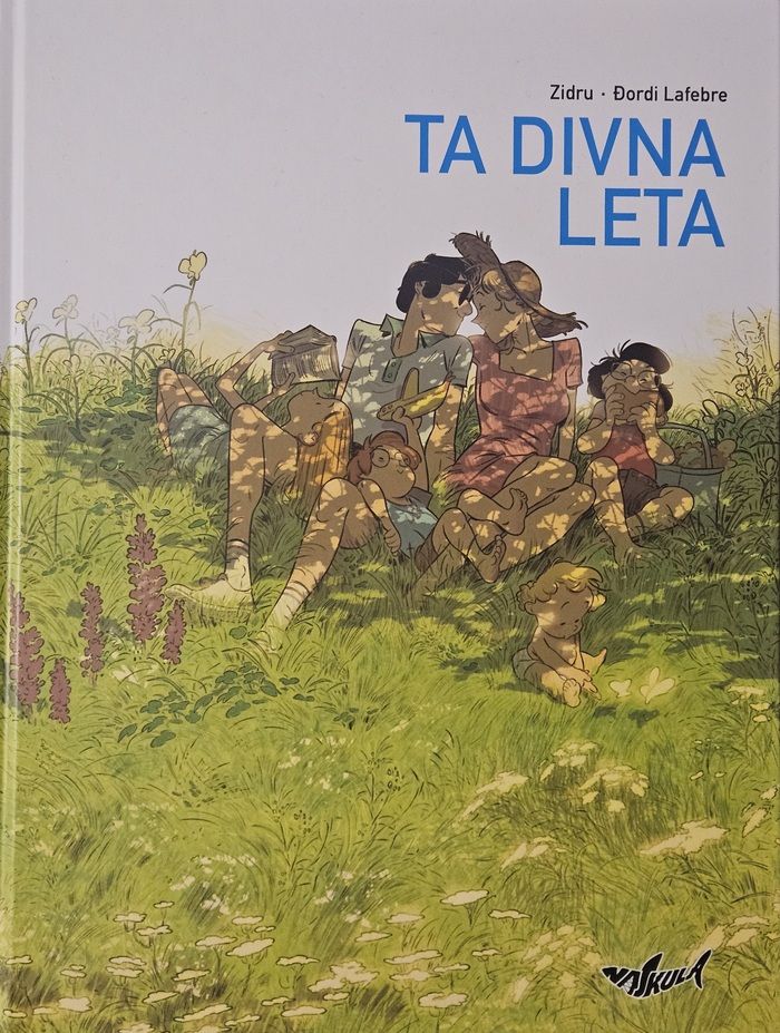 Ta divna leta book cover