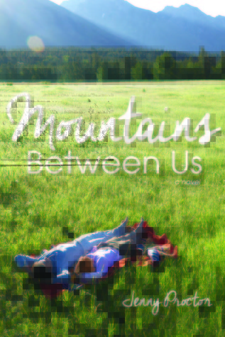 Mountains Between Us book cover