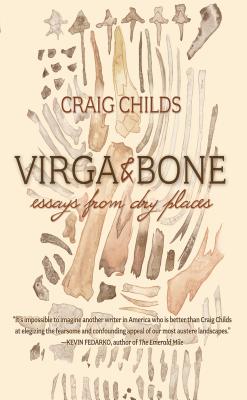Virga & Bone book cover