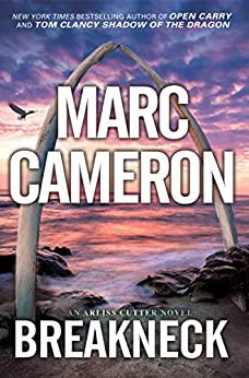 Breakneck book cover