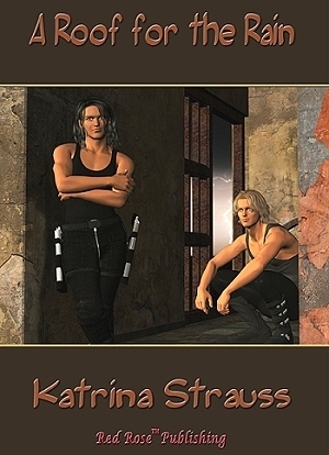 A Roof for the Rain book cover