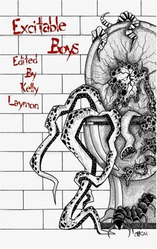 Excitable Boys book cover