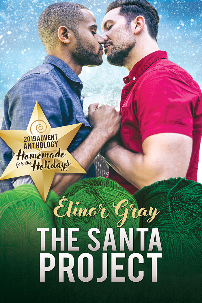 The Santa Project book cover