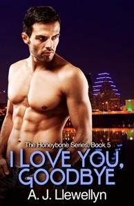 I Love You, Goodbye book cover