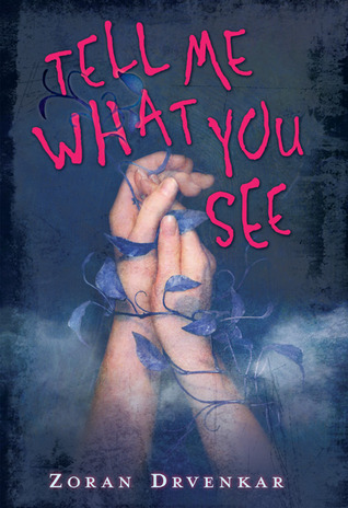 Tell Me What You See book cover
