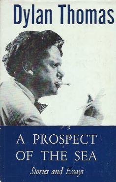A Prospect of the Sea and Other Stories and Prose Writings book cover