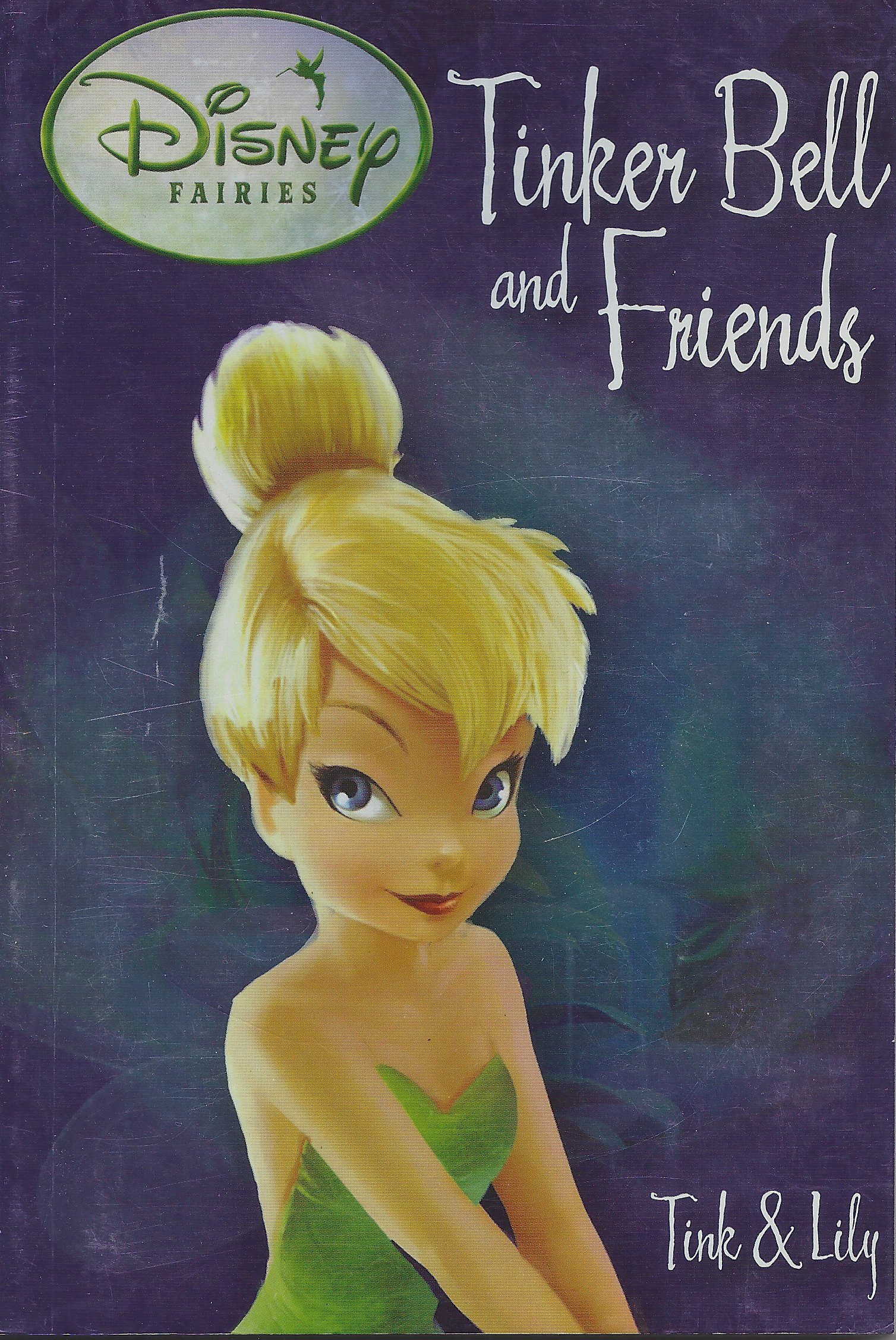Tink and Lily book cover
