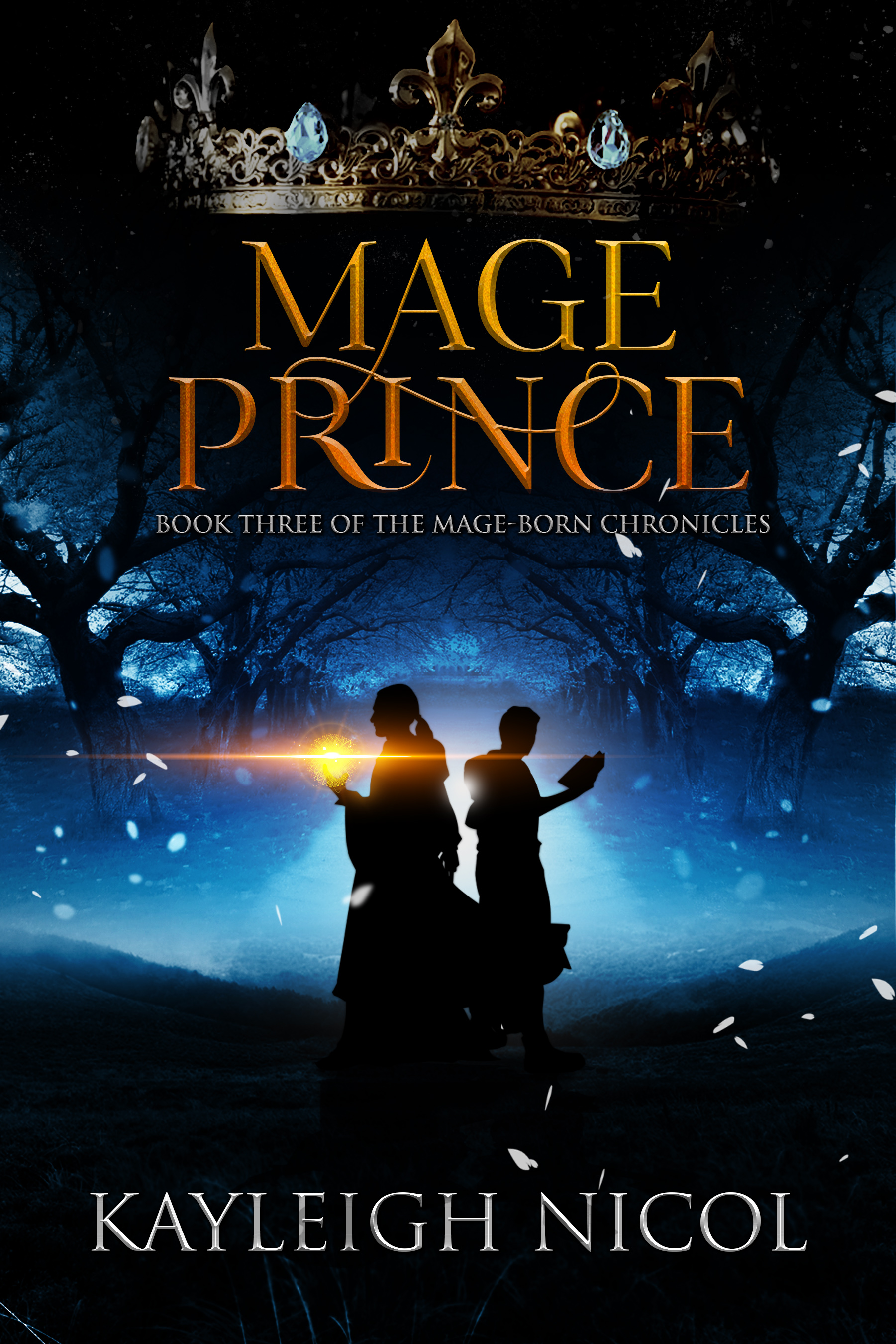 The Mage-Born Chronicles book cover 3