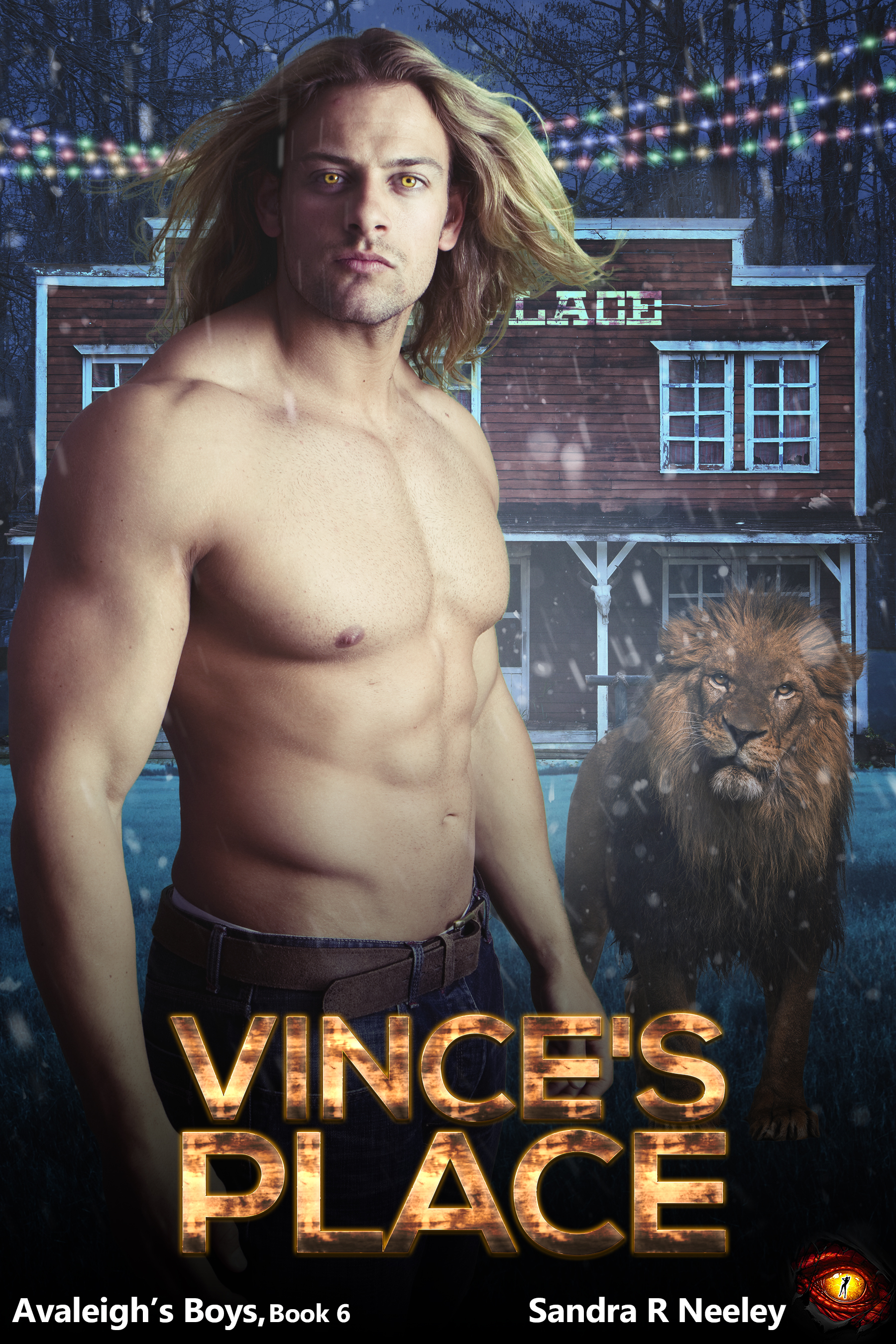 Vince's Place book cover