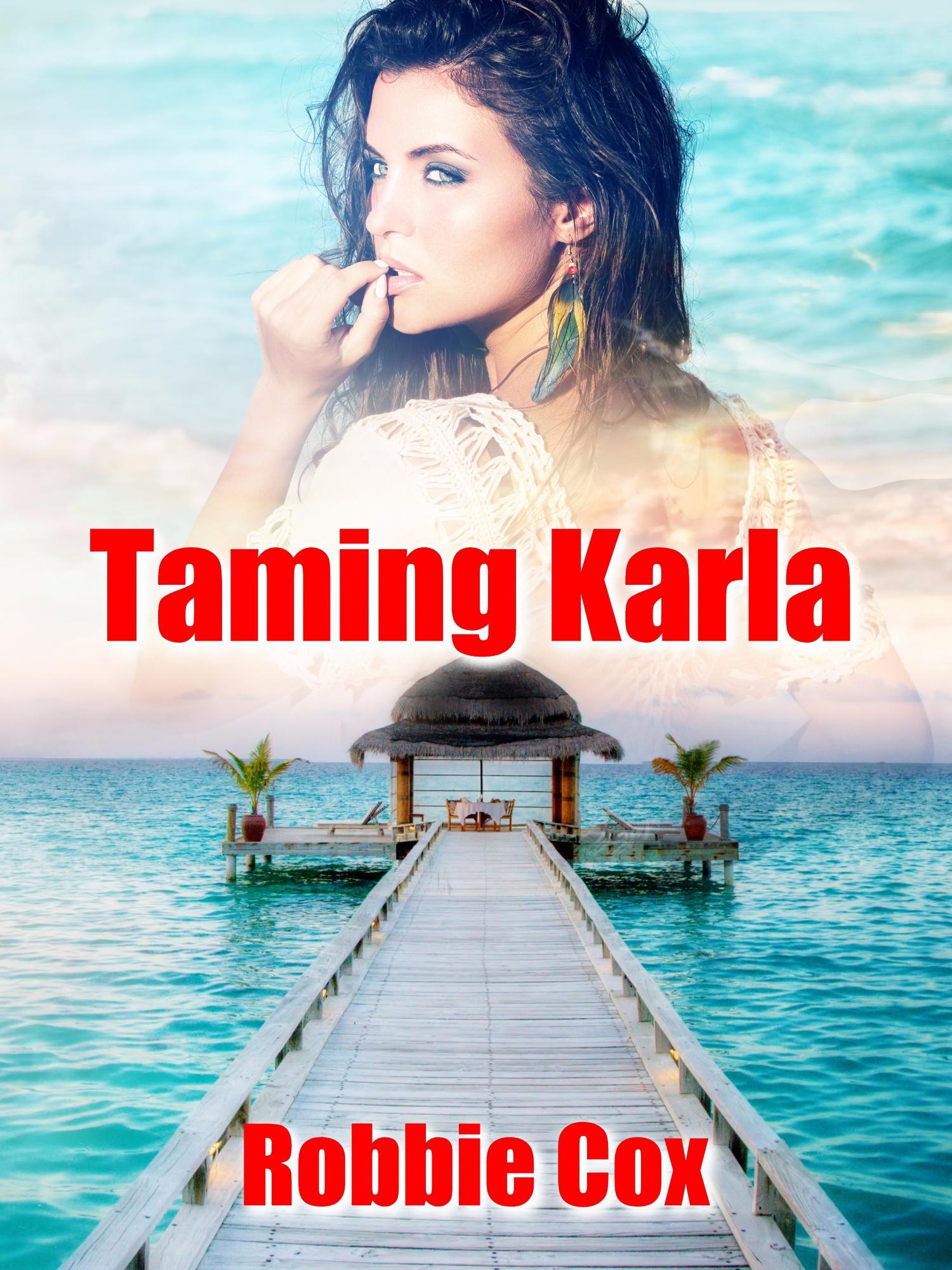 The Harper Twins book cover 2