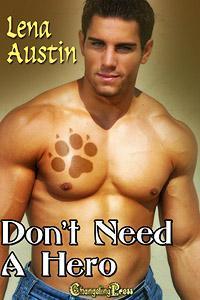 Don't Need a Hero book cover