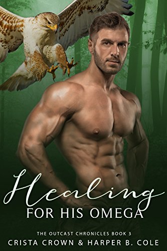 The Outcast Chronicles book cover 3