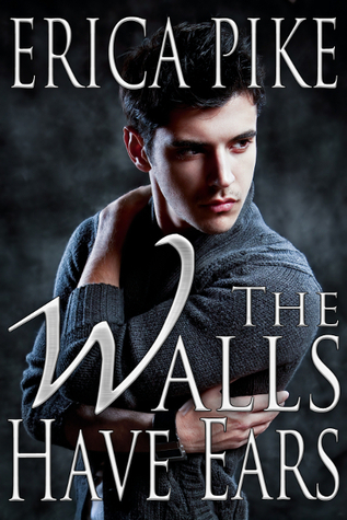 College Fun and Gays book cover 3