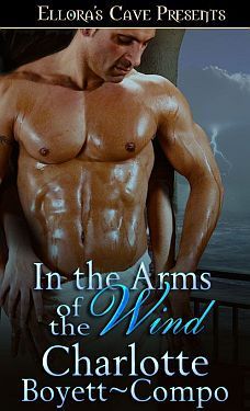 WindTorn book cover 3