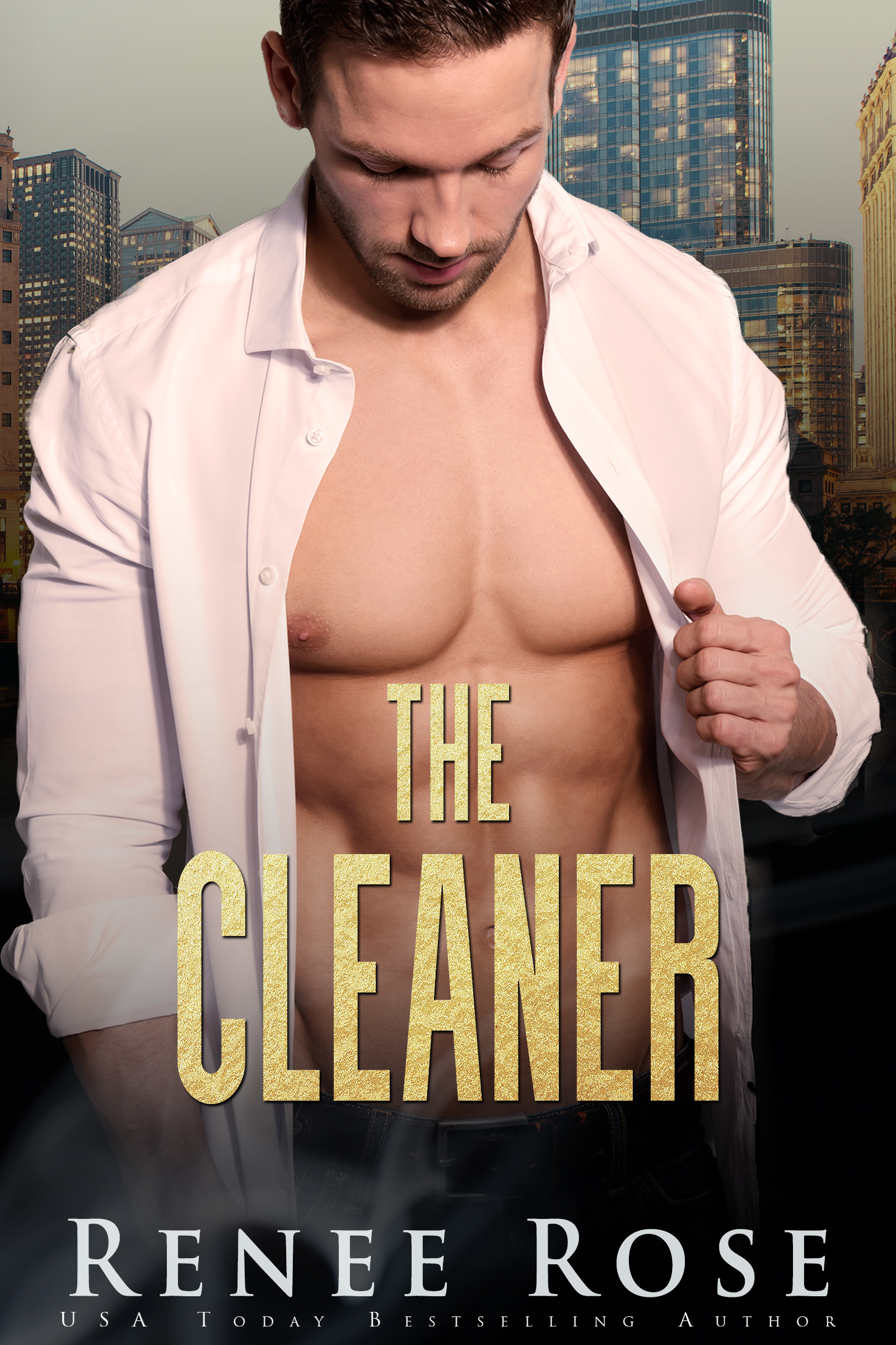 The Cleaner book cover