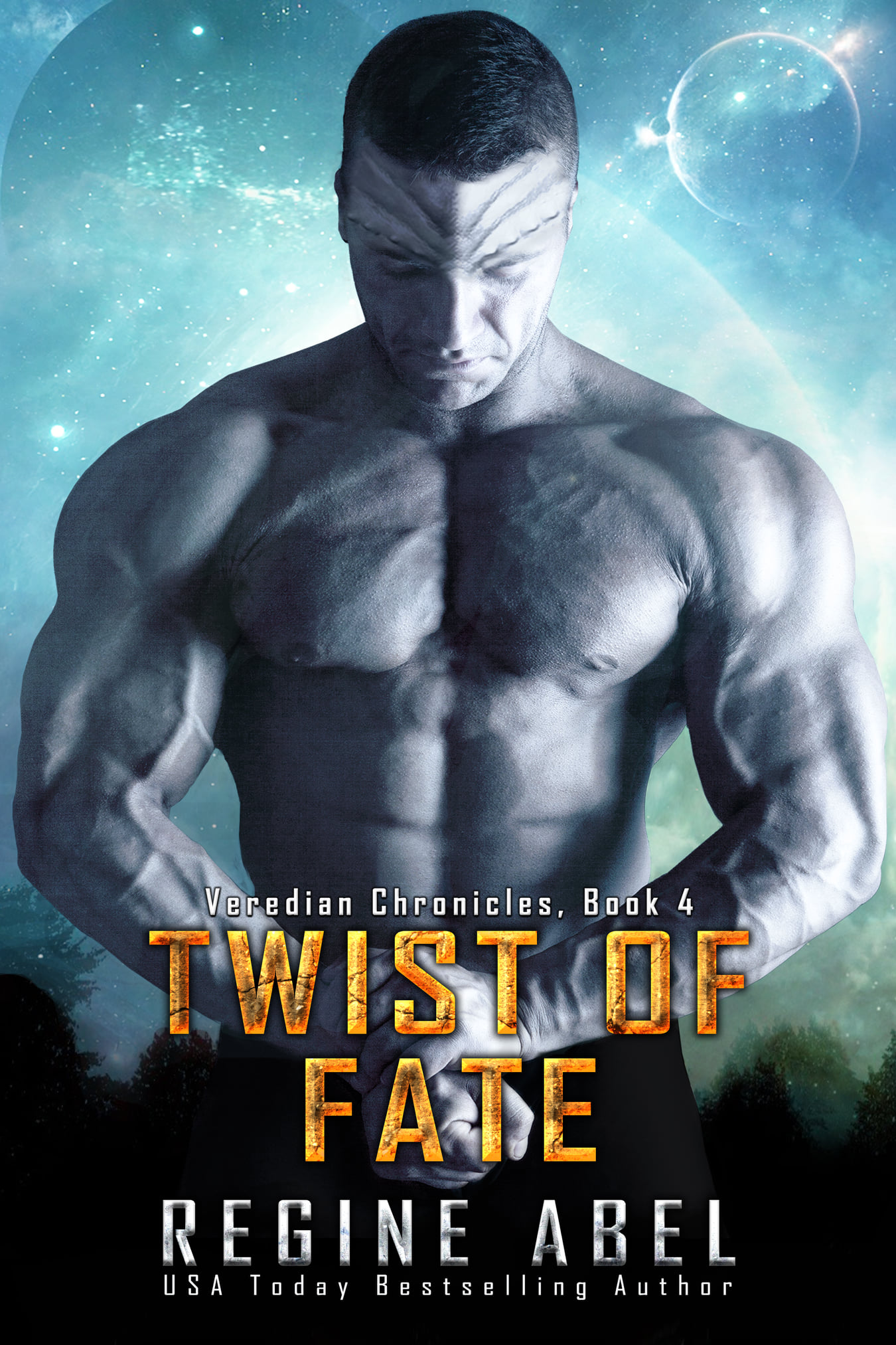 Twist of Fate book cover