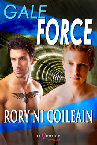 SoulShares book cover 2