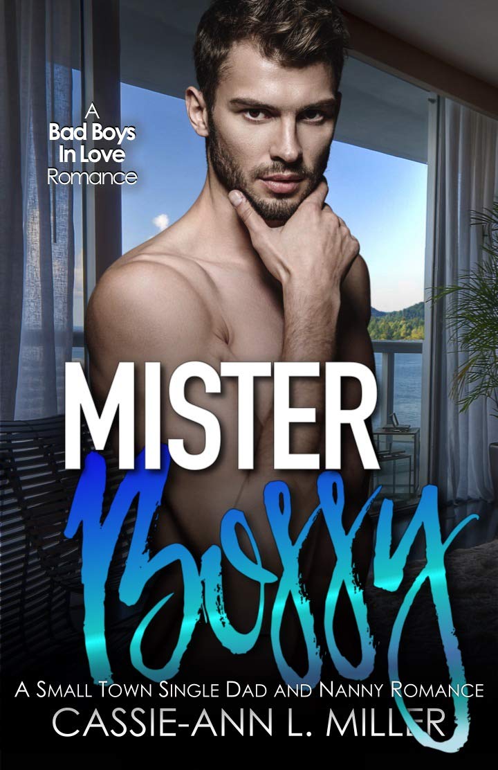Mister Bossy book cover