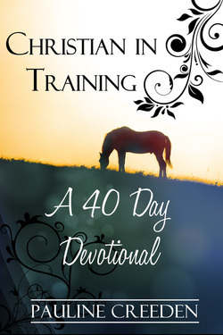 Christian in Training book cover