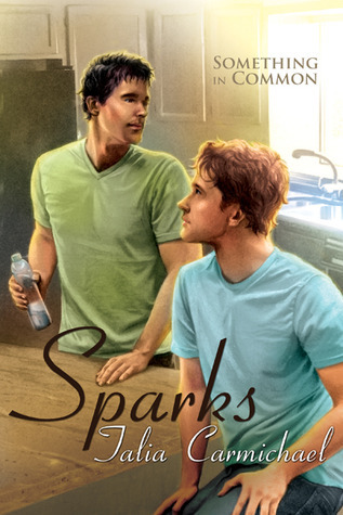 Something in Common book cover 2