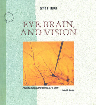 Eye, Brain, and Vision book cover