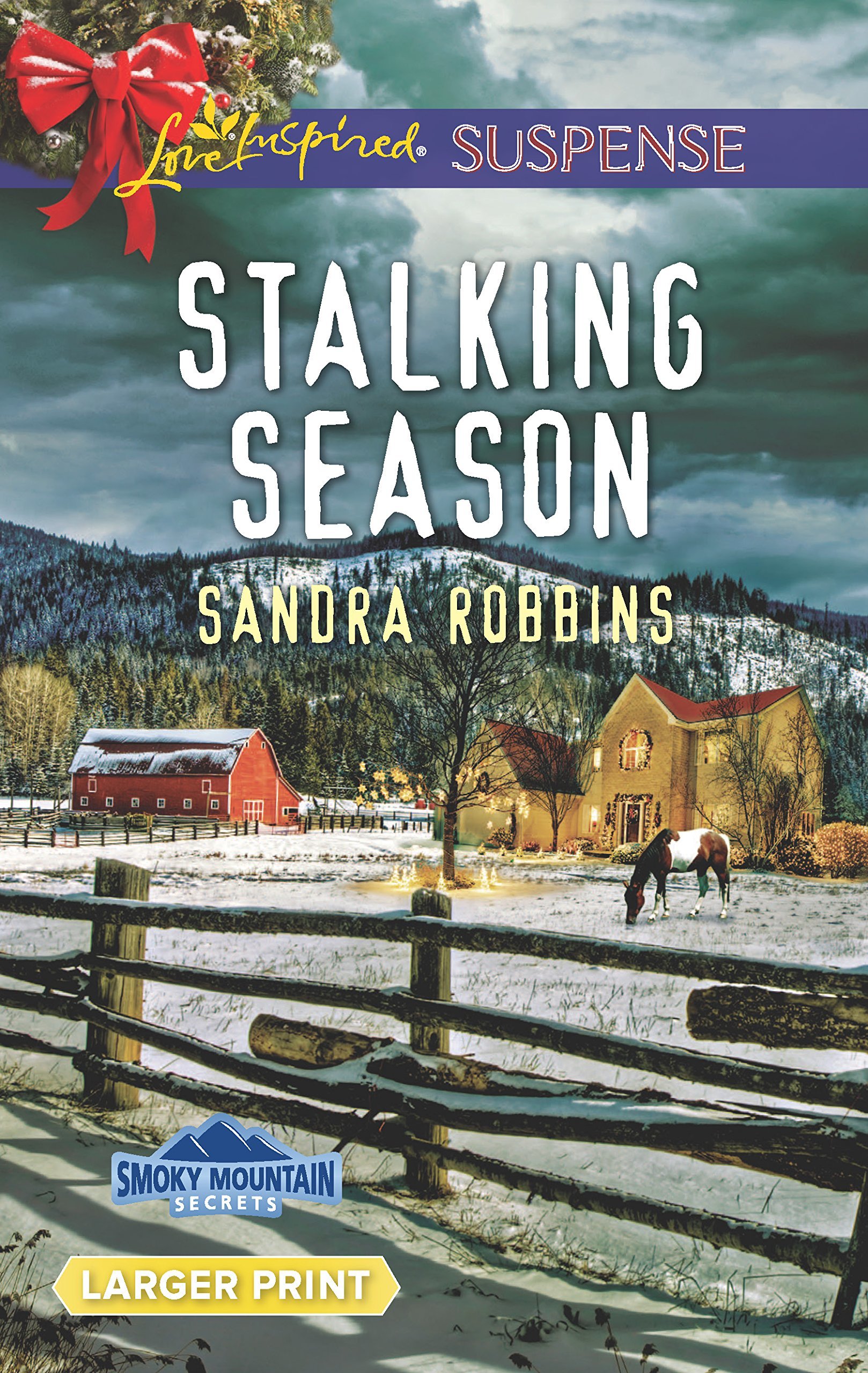 Smoky Mountain Secrets book cover 2