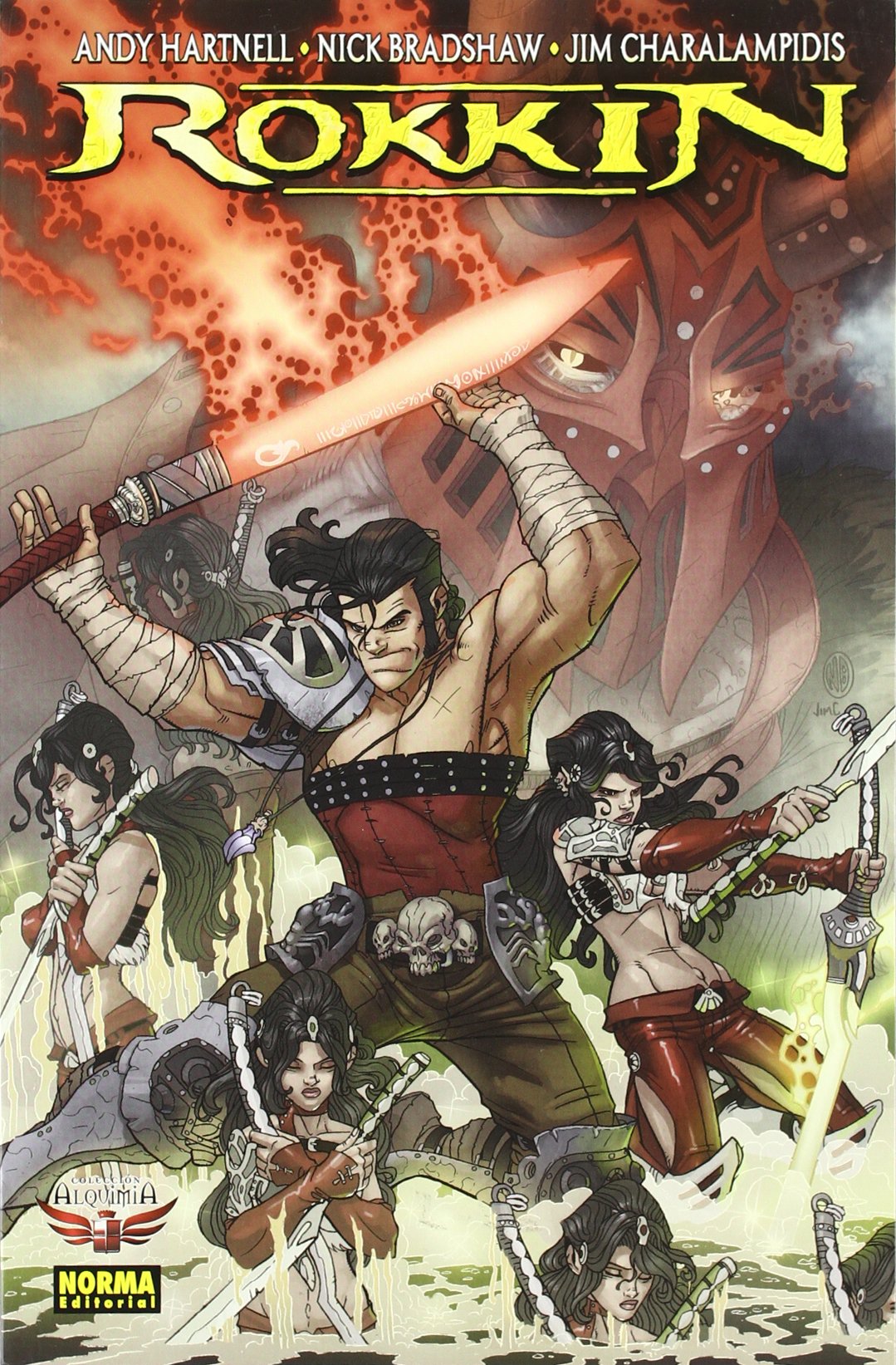 ROKKIN book cover