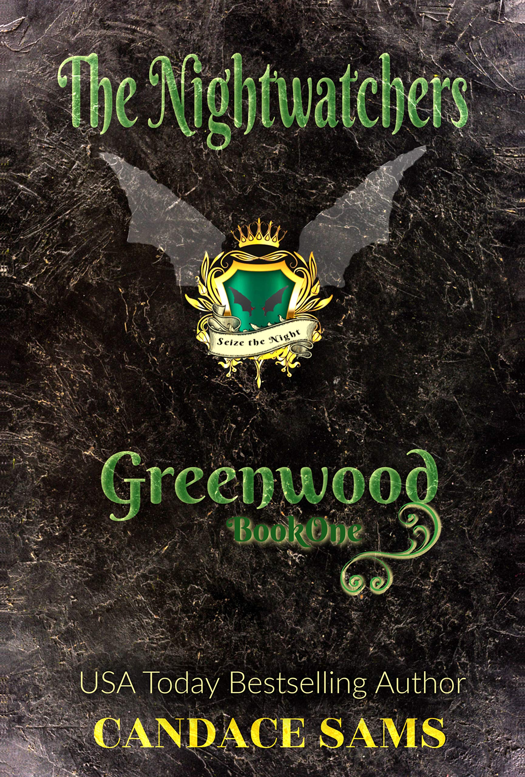 Nightwatchers book cover 1