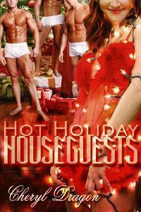 Hot Holiday Houseguests book cover