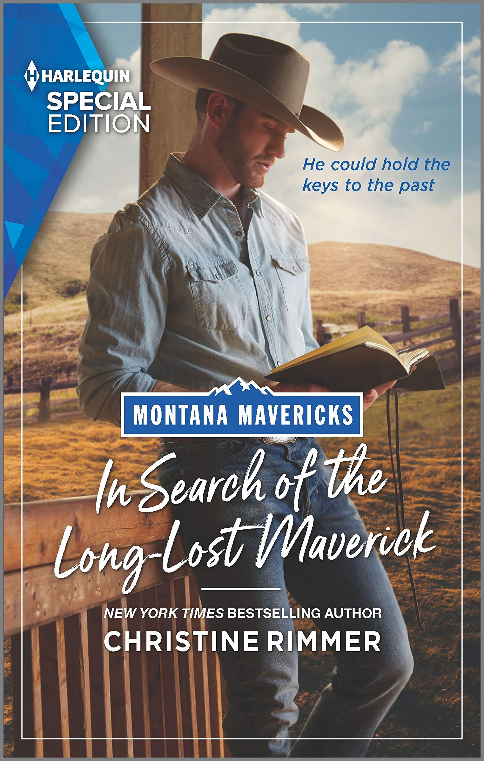 Montana Mavericks: What Happened to Beatrix? book cover 1
