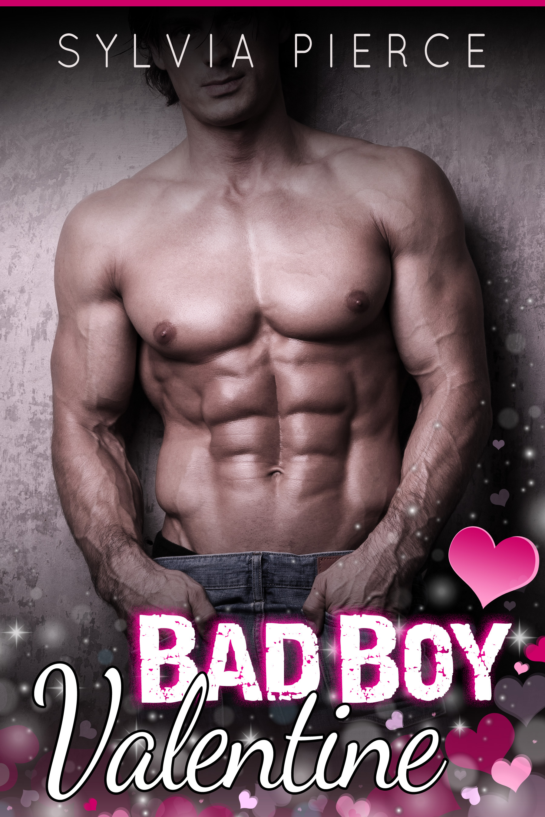 Bad Boys on Holiday book cover 2