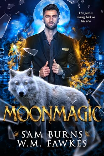 Moonmagic book cover