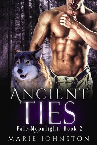 Pale Moonlight book cover 2