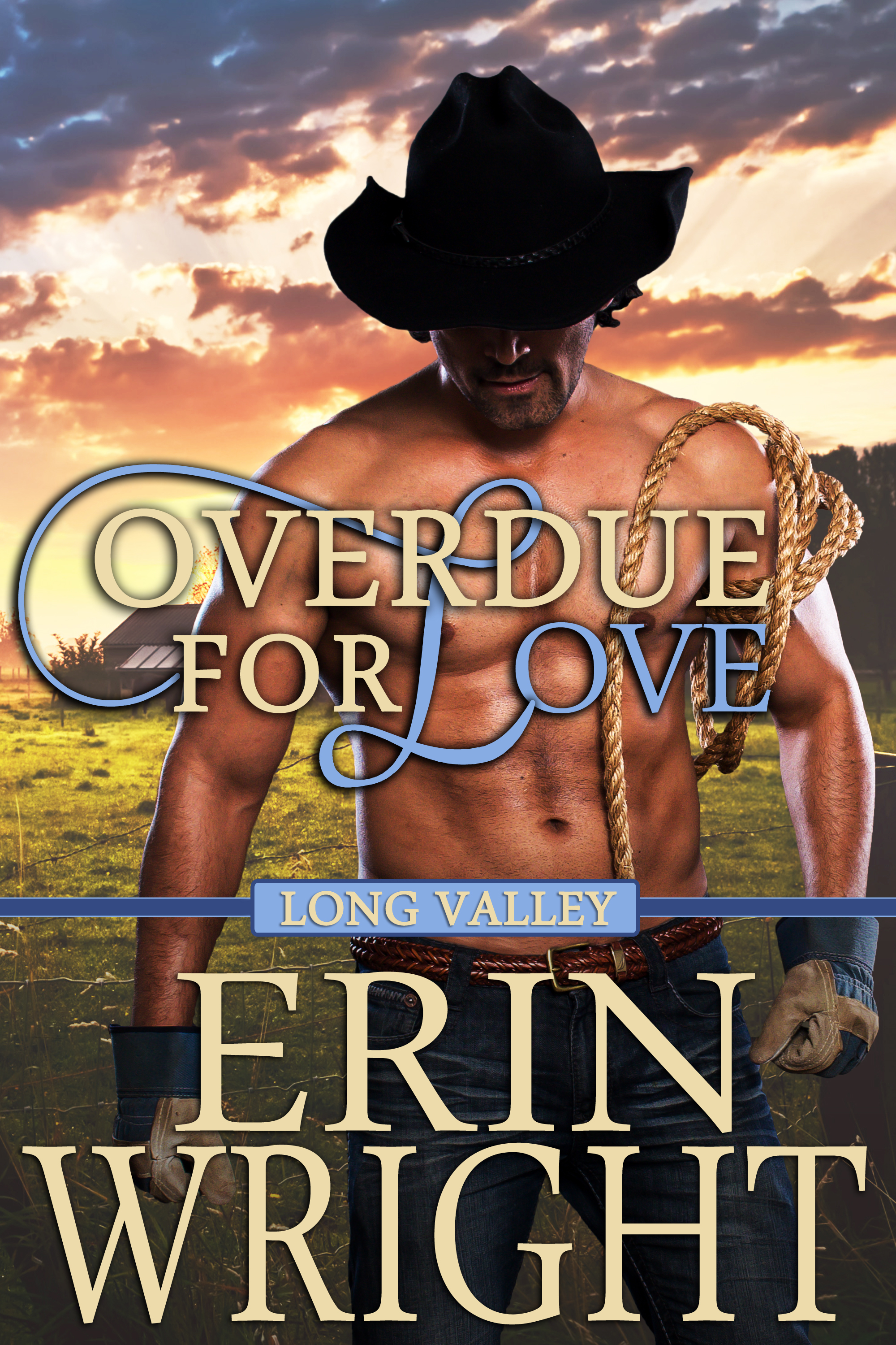 Overdue for Love book cover
