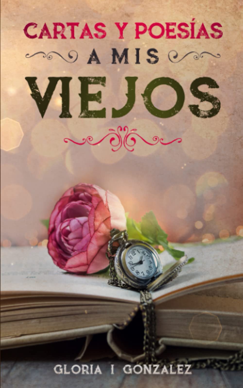 Cartas y Poesías a mis viejos book cover