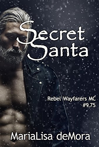Secret Santa book cover